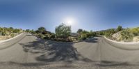 a fish eye lens shows the landscape of a road and palm trees with no grass