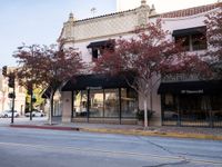 Los Angeles Road with Classic Architecture