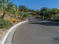 a scenic road with shrubs and palm trees in the desert area of california desert, ca