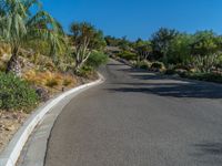 a scenic road with shrubs and palm trees in the desert area of california desert, ca