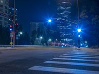 Los Angeles at Night: A Glimpse of the Busy Streets