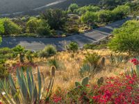 a paved road with red flowers in the foreground and greenery on either side