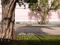 Los Angeles Road: An Urban Landscape