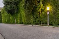 Scenic Road in Los Angeles, California, USA