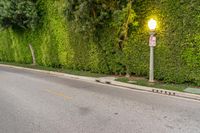 Scenic Road in Los Angeles, California, USA