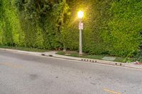 Scenic Road in Los Angeles, California, USA