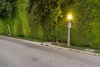 Scenic Road in Los Angeles, California, USA