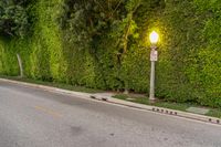 Scenic Road in Los Angeles, California, USA