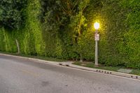 Scenic Road in Los Angeles, California, USA