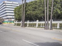 a man riding a skateboard down the street next to some palm trees and a fence