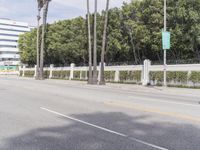 a man riding a skateboard down the street next to some palm trees and a fence