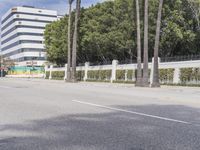 a man riding a skateboard down the street next to some palm trees and a fence