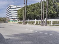 a man riding a skateboard down the street next to some palm trees and a fence