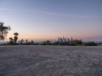 Los Angeles Skyline: Asphalt Jungle Meets Clear Dawn Sky