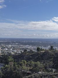 Los Angeles Skyline Cityscape