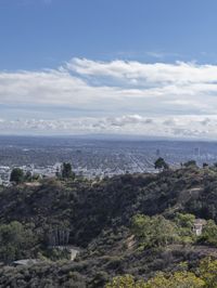 Los Angeles Skyline Cityscape