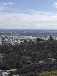 Los Angeles Skyline Cityscape