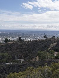 Los Angeles Skyline Cityscape