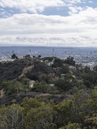 Los Angeles Skyline Cityscape