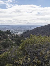 Los Angeles Skyline Cityscape