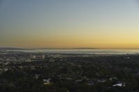 Los Angeles Skyline: A Cityscape with Clear Skies