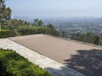 Los Angeles Skyline: Overlooking the Cityscape