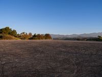 Los Angeles Skyline: Urban Dawn in California
