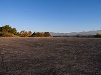 Los Angeles Skyline: Urban Dawn in California