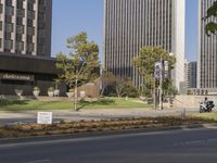 several tall buildings with grass and flowers lining the mediane of a street with a paved roadway