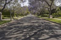 A Straight Road in Los Angeles: Residential Area with Lined Trees