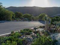 a paved street with cactus bushes and mountains in the background with a parking sign and curb