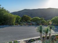 a paved street with cactus bushes and mountains in the background with a parking sign and curb