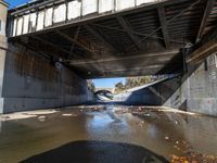 a dirty stream under a concrete bridge, with the shadow of the person standing on top