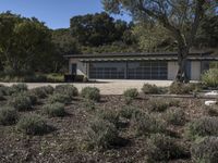 a driveway has plants, trees and bushes and a large gray garage with lots of windows and doors