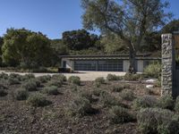 a driveway has plants, trees and bushes and a large gray garage with lots of windows and doors