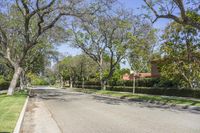 a street lined with lush green grass and trees around the corner with some bushes along both sides of it