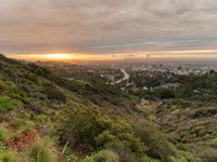 a view of some mountains with green shrubs in front of a city skyline at sunset