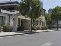 an arrow is pointing to an empty street next to buildings with green trees lining both sides