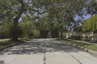 a quiet street lined with trees and houses in the distance is an intersection at a road end