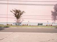 Asphalt Road Under Clear Skies: An Urban View in Los Angeles