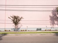 Asphalt Road Under Clear Skies: An Urban View in Los Angeles
