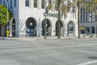 palm trees line a city street near buildings in the background with a parking meter at the corner