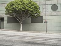 Los Angeles Urban Design: Tree Shade in the City