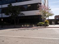 Los Angeles Urban Landscape: A Day in the City