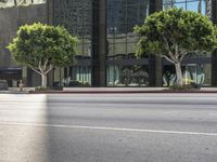 Los Angeles Urban Landscape: Lush Vegetation and High-Rise Buildings