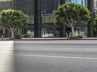 Los Angeles Urban Landscape: Lush Vegetation and High-Rise Buildings