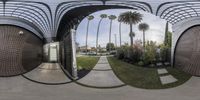 a fisheye lens photograph of palm trees in front of a building with a bench, and pathway