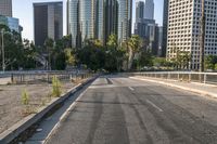 Los Angeles: Urban Metropolis with High-rise Buildings