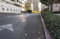 a street lined with bushes and parking meters near buildings on either side of the street