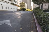 a street lined with bushes and parking meters near buildings on either side of the street